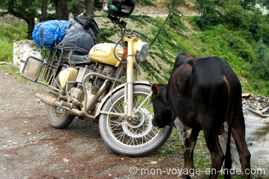 Inde du Sud à Moto