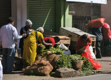 Voyage en Inde