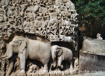 Voyage au Tamil Nadu